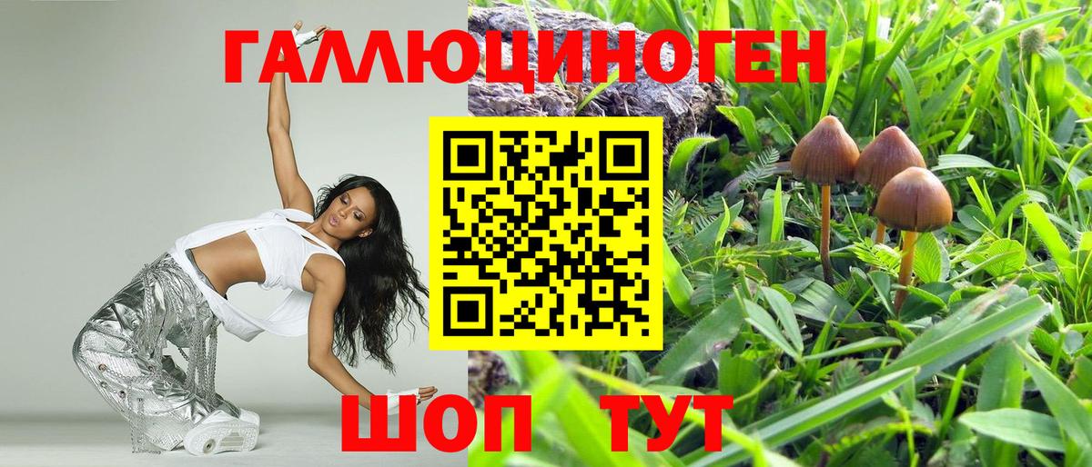 Псилоцибиновые грибы Psilocybine cubensis Белорецк